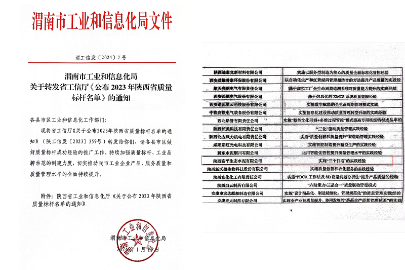 喜報(bào)！富平公司榮獲陜西省質(zhì)量標(biāo)桿榮譽(yù)